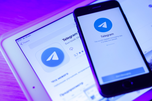 Власти БиГ не рассмотрели гражданство вице-президента Telegram